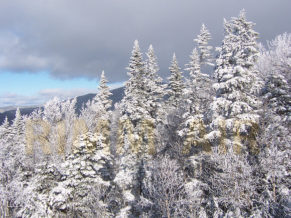 Saddleback Mountain Snow-Covered Trees