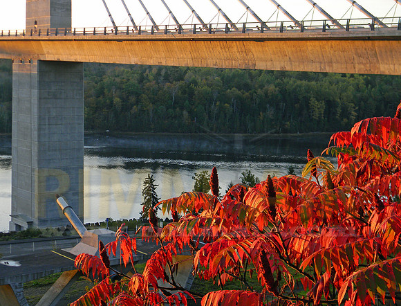 Fall Foliage and River Fog