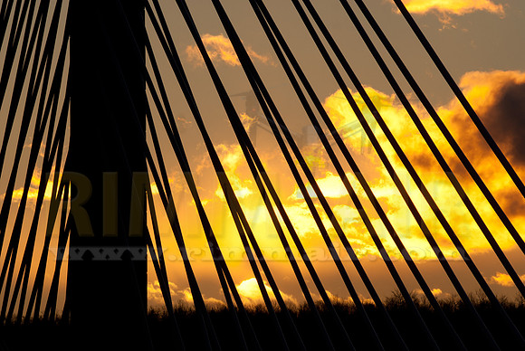 Sunrise Through the Cable Stays