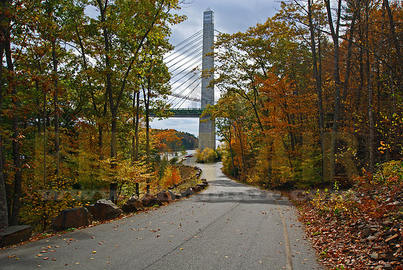 Road to the Observatory