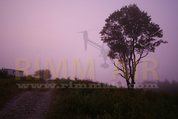 Pink Fog
