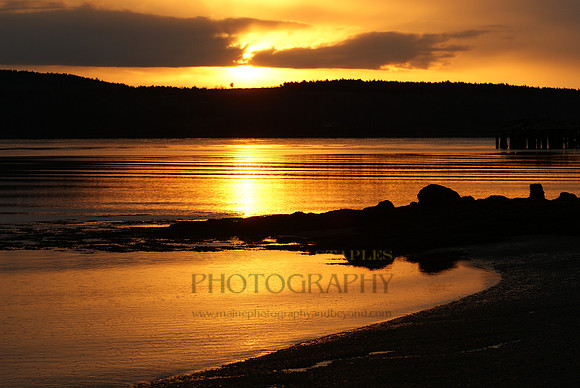Sandy Point Beach Golden Sunrise