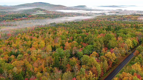 Morning Fog and Fall Foliage