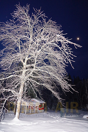 Red, White & Blue with the Moon