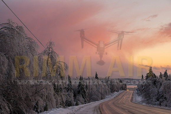 Winter Beauty